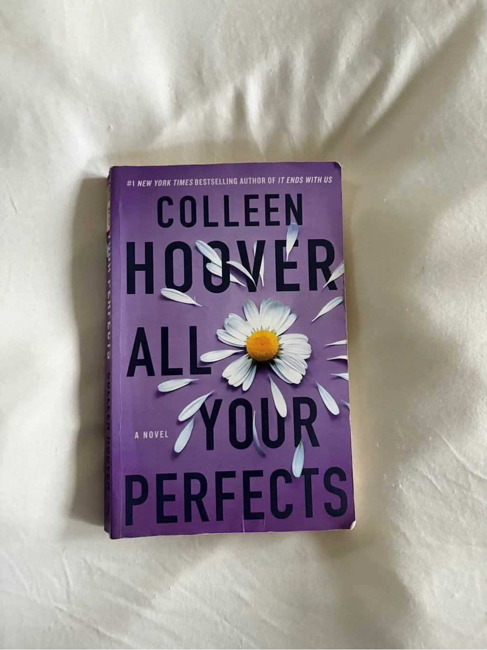 All Your Perfects – Purple Paperback Novel